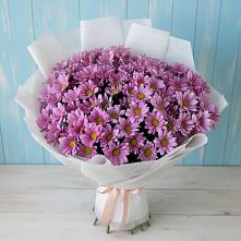 Букет цветов из:  Хризантемы в Новой Деревне