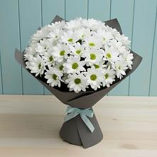Букет цветов из:  Хризантемы #REPLACE_PRED# Новой Деревне
