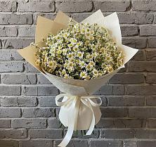 Букет цветов из:  Ромашки #REPLACE_PRED# Новой Деревне